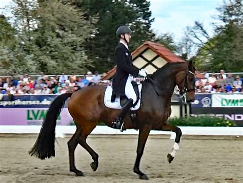 Sönke Rothenberger & 9YO Fendi Win Horses & Dreams CDI4